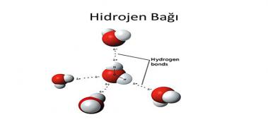 Hidrojen Bağı